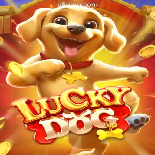 LuckyDog: The Premier Choice on Q8Q.COM for Online Slots in Brazil